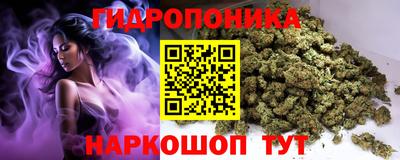 гидра Тара