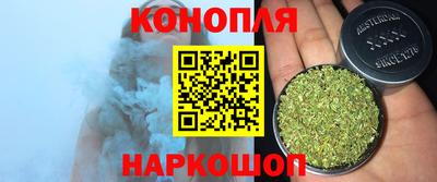 гидра Тара