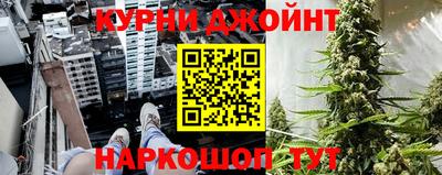 гидра Тара