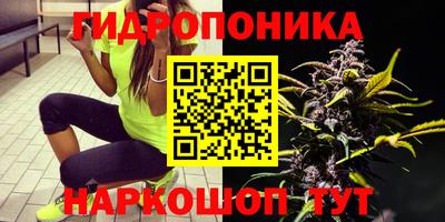 PSILOCYBIN Тверь