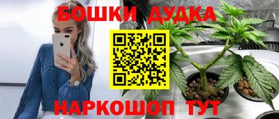 PSILOCYBIN Тверь