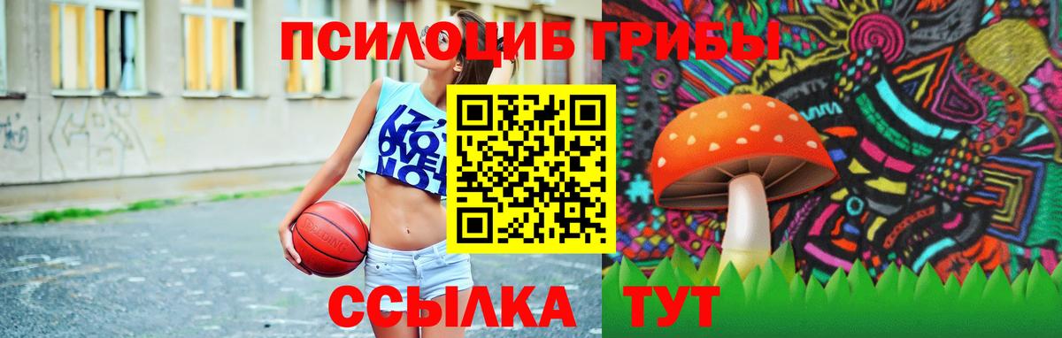 Псилоцибиновые грибы MAGIC MUSHROOMS  закладки  Новозыбков  Вход с VPN 